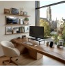 Maclean MC-933 Monitor/Laptop stand, max. 20kg, (500x260x122mm)