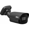 BCS POINT Camera BCS-P-TIP25FSR4-AI2-G