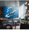 LG QNED evo AI 55QNED93A6A 139.7 cm (55") 4K Ultra HD Smart TV Wi-Fi Black