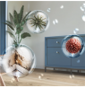 Philips 2in1 Dehumidifier and Purifier | DE5305