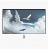 Arozzi | Nova | 32 " | IPS | QHD | 16:9 | 180 Hz | 1 ms | 2560 x 1440 pixels | 300 cd