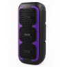 SQUEAK SPEAKER KARAOKE BEATONE BT 5.3 SQ1009