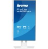 iiyama ProLite 21.5” IPS monitor with a three-side borderless design, integrated USB hub, 100Hz refresh rate and