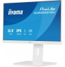 iiyama ProLite 21.5” IPS monitor with a three-side borderless design, integrated USB hub, 100Hz refresh rate and