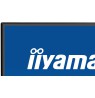 iiyama ProLite 27” IPS Full HD panel with 4-side slim bezel and B energy class
