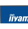 iiyama ProLite 24” IPS Full HD panel with 4-side slim bezel, B energy class and height adjustable stand