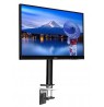 IIYAMA DS1001C-B1 Flexible desk mount for single monitor 10-30Zoll VESA 75x75/100x100mm 1-10kg (P)