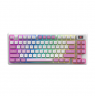 MSI FORGE GK600 TKL WIRELESS VIOLET | Gaming keyboard | Wireless | US | 2.4 GHz Wireless