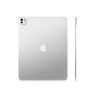 Apple 13-inch iPad Pro M5 Wi-Fi + Cellular 256GB with standard glass - Silver | Apple