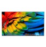 Philips 43HFL6214U 109.2 cm (43") 4K Ultra HD Smart TV Wi-Fi Anthracite 400 cd/m² Rollable display