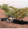 Vostok Europe Expedition SAHARA “Route of Tuaregs” 6S10-598A753SL-TE