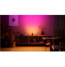 Philips Hue Play Wall Washer, Black, EU/UK, 1-pack|2000-6500 Hue White Colour Ambiance