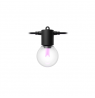 Philips Hue Hue Festavia Globe Outdoor String Lights, 7m Extension | 30 W