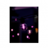 Philips Hue Hue Festavia Globe Outdoor String Lights, 21m Extension | 30 W