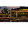 Philips Hue Hue Festavia Globe Outdoor String Lights, 21m Extension | 30 W