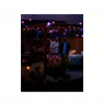 Philips Hue Hue Festavia Globe Outdoor String Lights, 21m Extension | 30 W