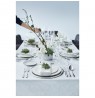WMF Premiere 1119916340 flatware set 30 pc(s) Stainless steel