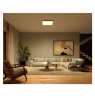 Philips Hue Surimu Square Panel Light, 60 x 60 cm | 2000-6500 Hue White Color Ambiance
