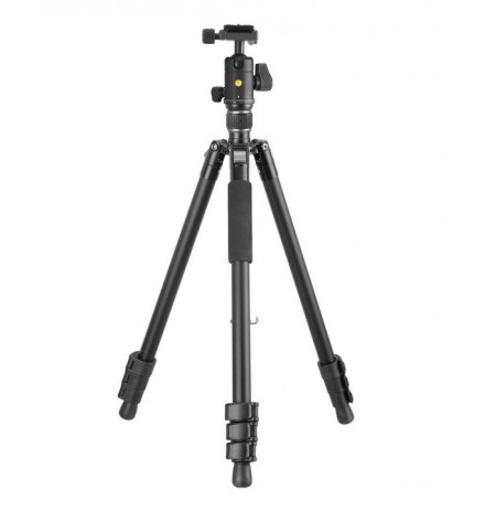 Vanguard Vesta GO 264AB