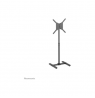 Neomounts NS-FS100BLACK Floor stand 10-55", Black | Neomounts