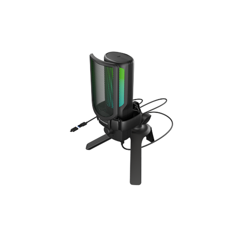 Natec | Microphone | GENESIS Radium 250 | Built-in microphone | USB Type-C | Black