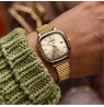 Casio Collection LTP-B166G-9AVEF