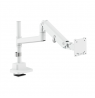 Digitus Single Monitor Mount, 57", 27 kg