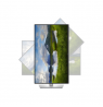 Dell P2425DE | 24 " | IPS | 16:9 | 100 Hz | 5 ms | 2560 x 1440 pixels | 350 cd