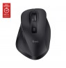 Trust Fyda mouse Office Right-hand RF Wireless + Bluetooth Optical 2400 DPI