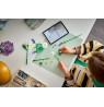 LEGO BOTANICALS 11508 Daisies