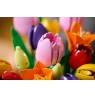 LEGO BOTANICALS 11501 Tulip Bouquet