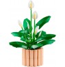 LEGO BOTANICALS 11504 Peace Lily