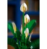 LEGO BOTANICALS 11504 Peace Lily