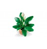 LEGO BOTANICALS 11504 Peace Lily