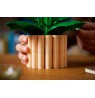 LEGO BOTANICALS 11504 Peace Lily