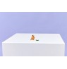 LEGO CREATOR 3 IN 1 31376 Cute Hamster with a Flower