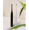 Blaupunkt DTS201WH electric toothbrush, white