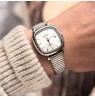 Casio Collection LTP-B166D-7AVEF