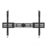 Neomounts Wall mount | WL35S-950BL19 | Tilt