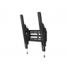 Neomounts Wall mount | WL35S-950BL19 | Tilt