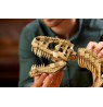 LEGO JURASSIC WORLD 76968 Dinosaur Fossils: Tyrannosaurus rex