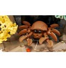 LEGO ICONS 10366 Tropical Aquarium