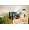 LEGO ICONS 10366 Tropical Aquarium
