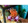 LEGO ICONS 10366 Tropical Aquarium