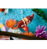 LEGO ICONS 10366 Tropical Aquarium