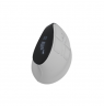 Natec Mouse | Euphonie Pro | Wireless | 2.4 GHz, Bluetooth | White