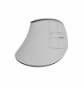 Natec Mouse | Euphonie Pro | Wireless | 2.4 GHz, Bluetooth | White