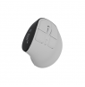 Natec Mouse | Euphonie Pro | Wireless | 2.4 GHz, Bluetooth | White
