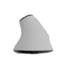 Natec Mouse | Euphonie Pro | Wireless | 2.4 GHz, Bluetooth | White