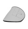 Natec Mouse | Euphonie Pro | Wireless | 2.4 GHz, Bluetooth | White